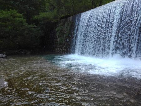 大イワナ登場！